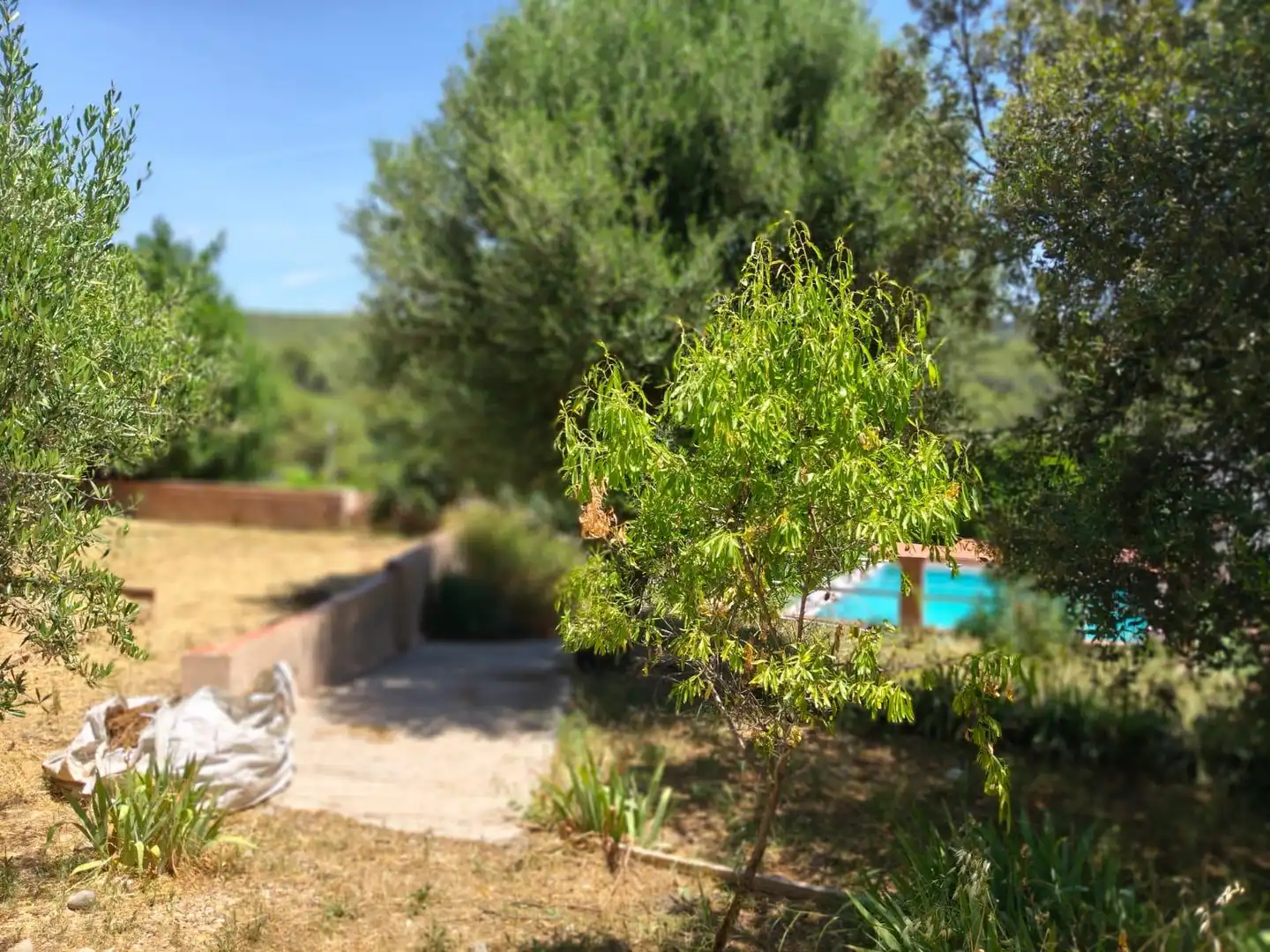 Jardí de Casa o xalet en venda en Olesa de Montserrat amb Calefacció, Terrassa i Alarma