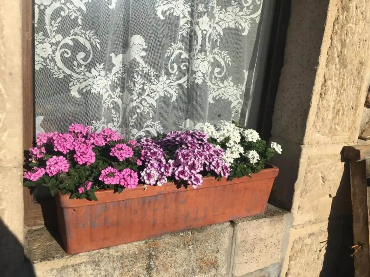 Terrassa de Casa o xalet en venda en Polaciones