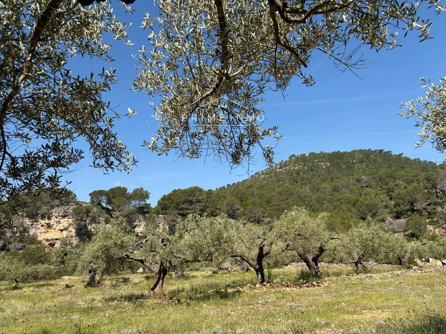 Terreno rústico en venta en L'Ametlla de Mar pueblo, imagen 9