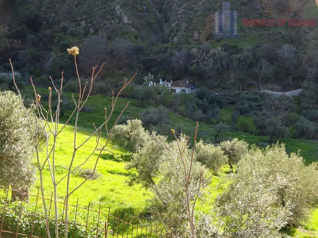 Landhaus zum Verkauf in EL ARROYO POLIGONO 5, imagen 5