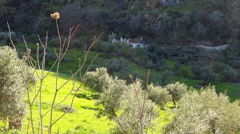 Foto 5 de Finca rústica en venta en El Arroyo, Polig, Monachil pueblo, Monachil