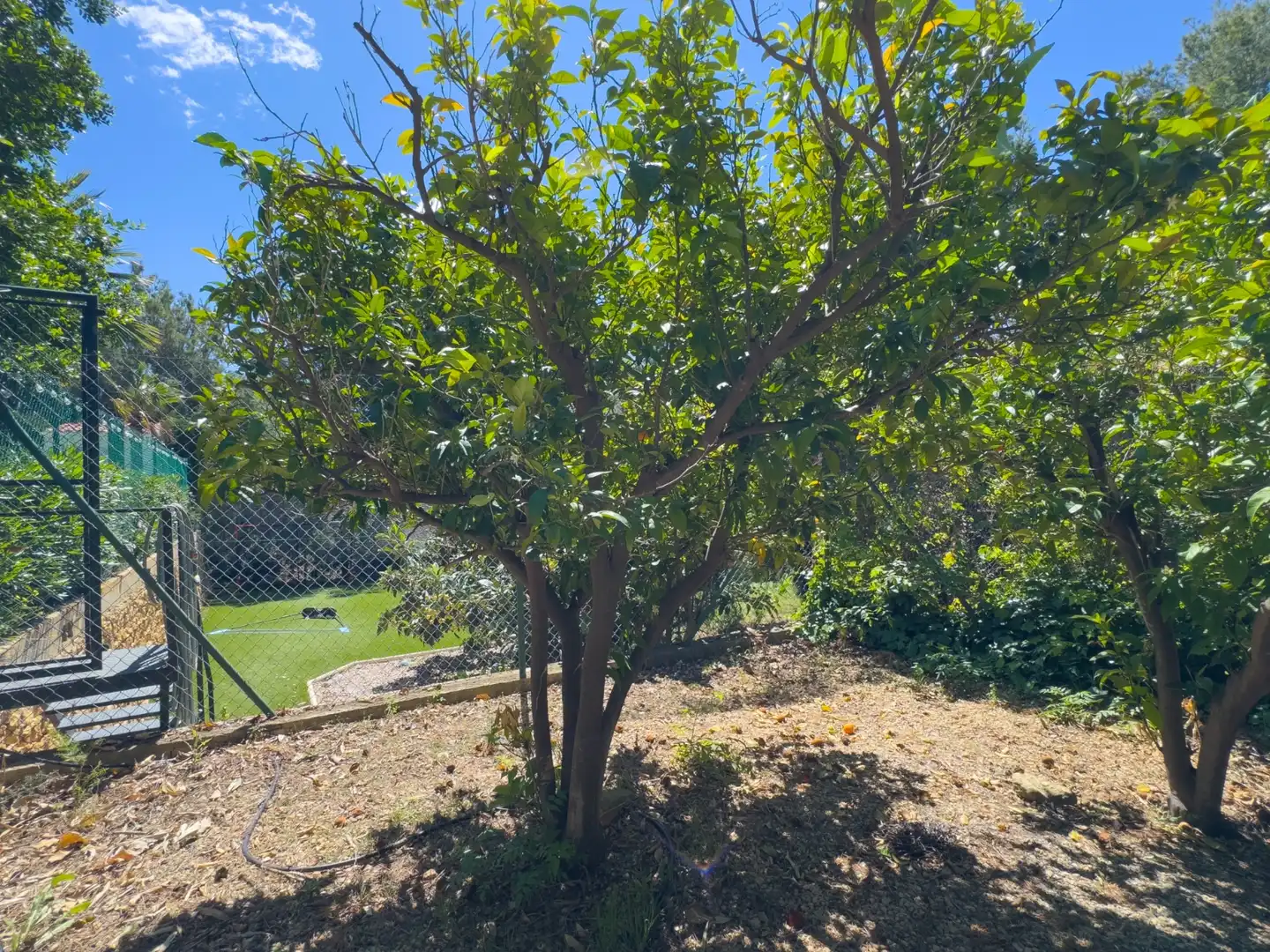 Jardín de Casa o chalet en venta en La Nucia