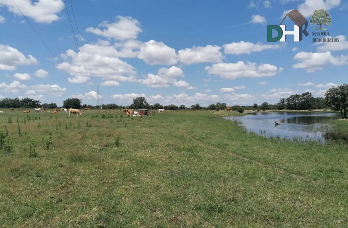 Lands and plots for sale in Barrio Blanco, imagen 13
