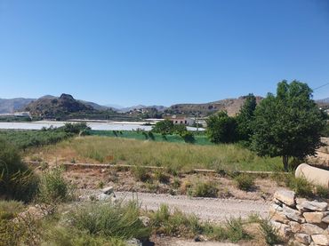 Terreno rustico in vendita a Berja