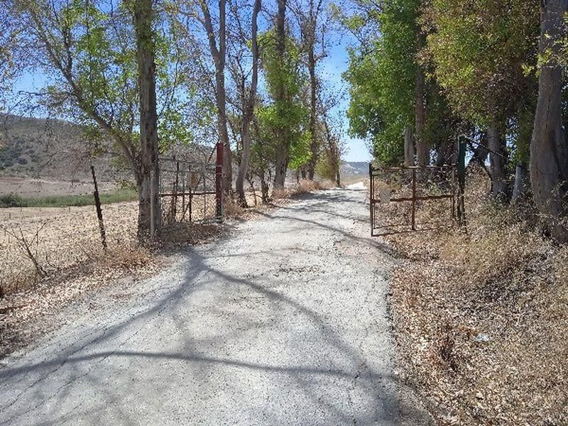 Exterior view of Land for sale in Morón de la Frontera
