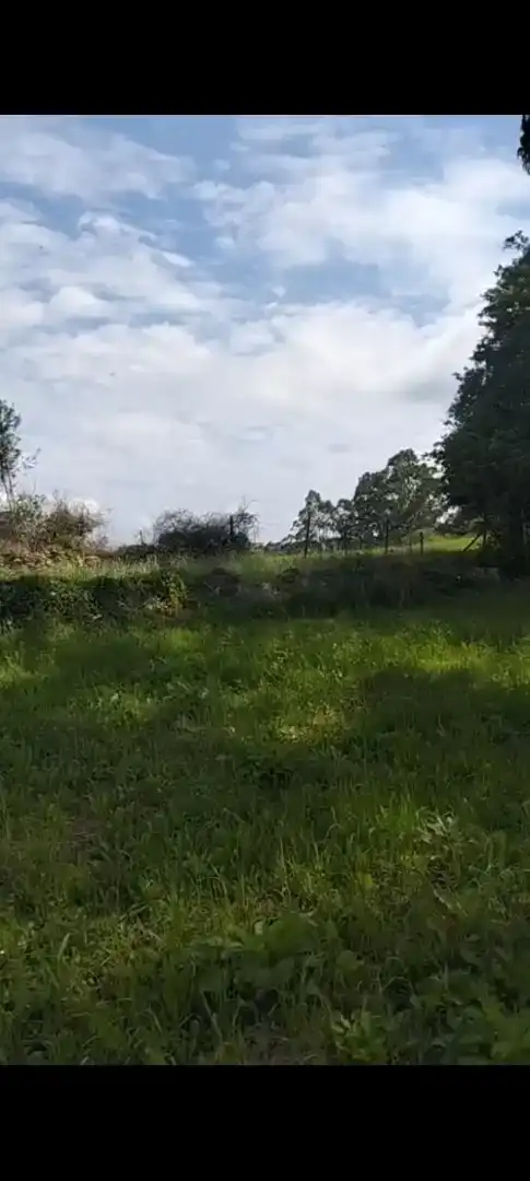 Finca rústica en venta en Valdáliga
