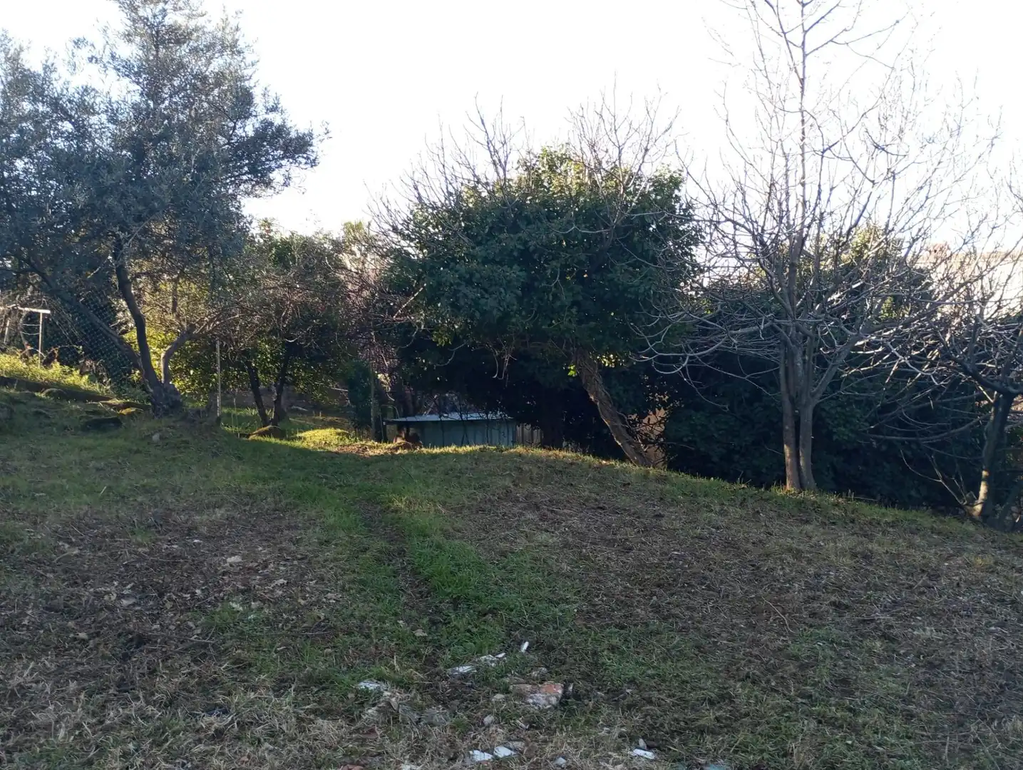 Terreni e lotti in vendita a Calle BURGOS, imagen 6