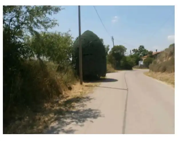 Terreno rustico in vendita a AV Germans Sanesteva, imagen 8