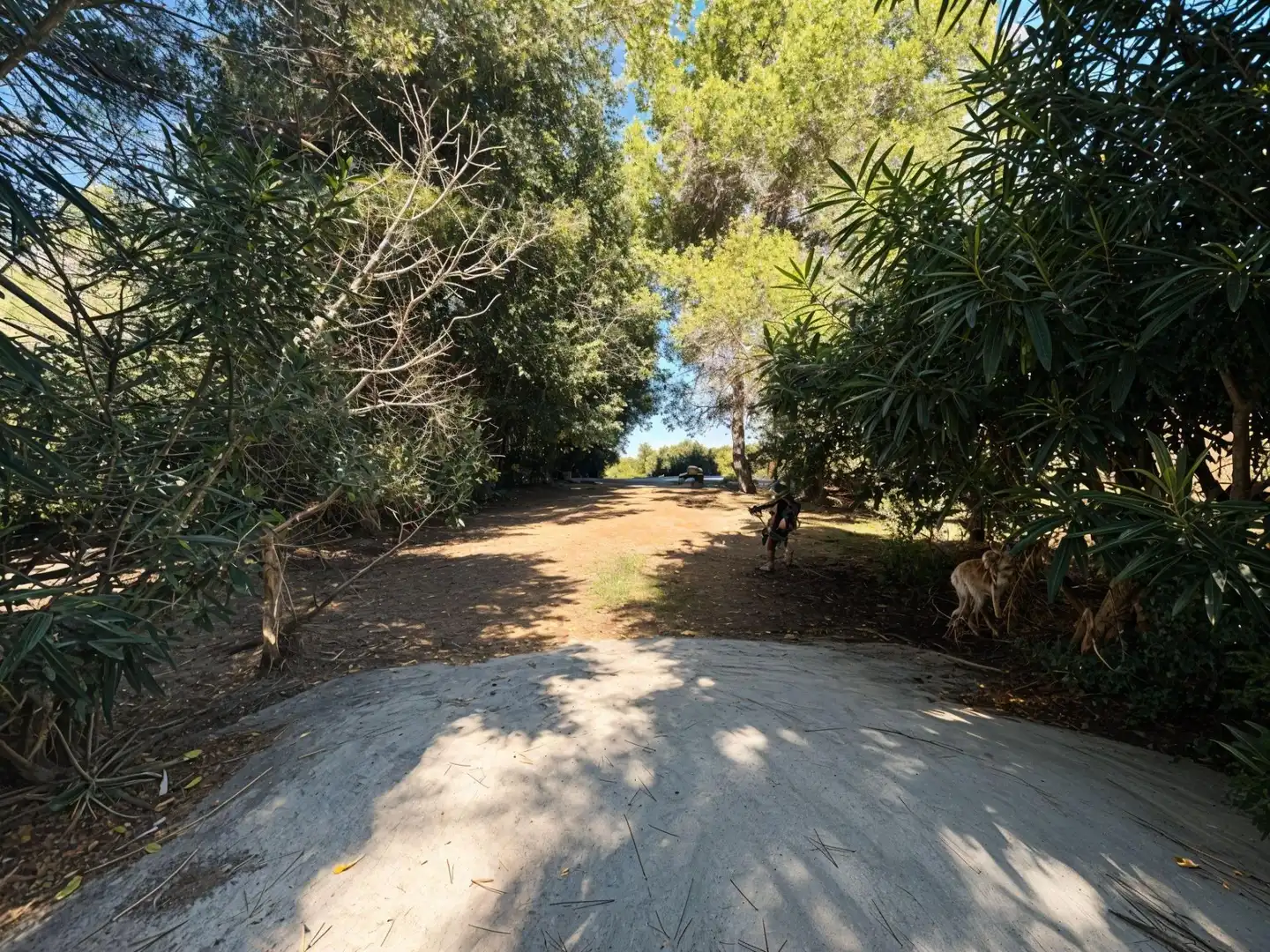 Finca rústica en venda en Carcaixent amb Aire condicionat, Calefacció i Jardí privat