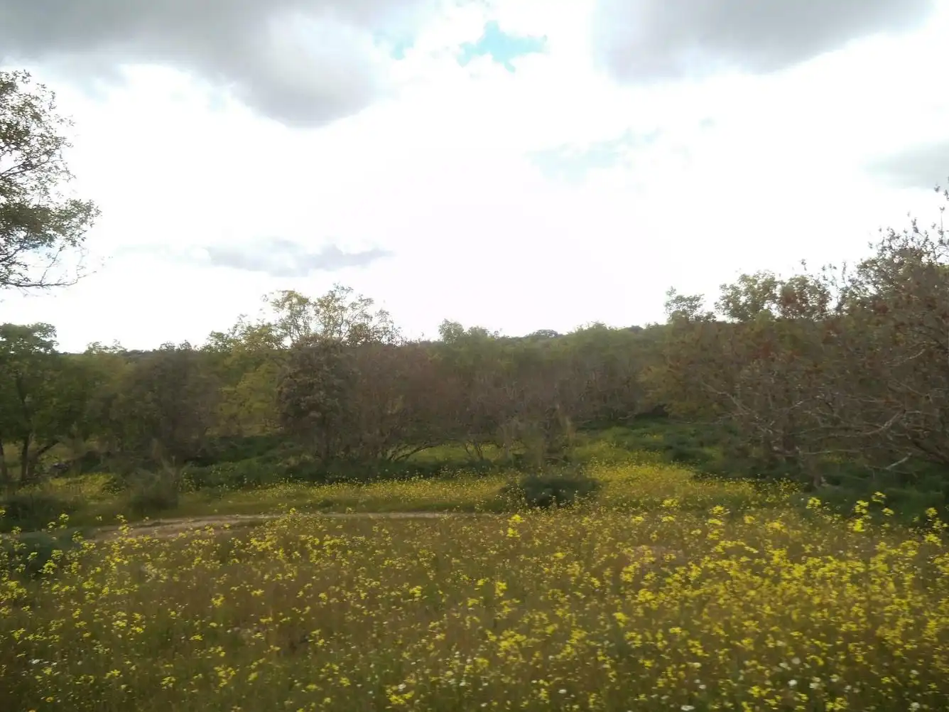 Residencial en venda en Valdemorillo