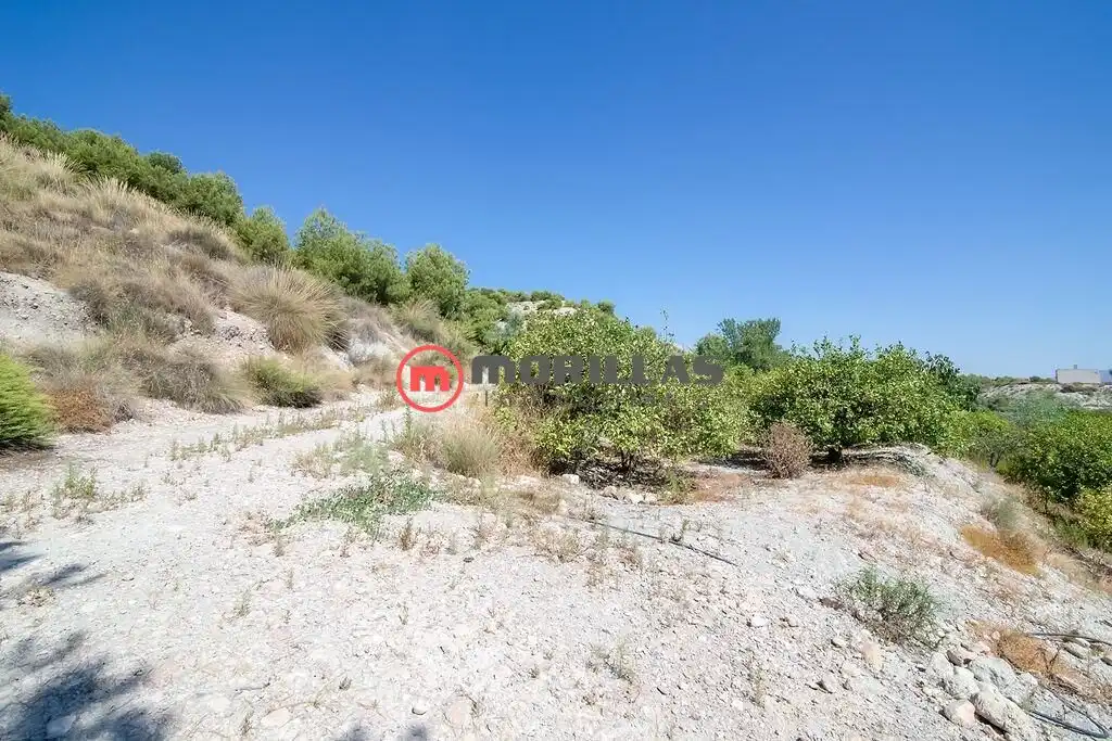 Lands and plots for sale in Carretera de Abanilla 25, imagen 14