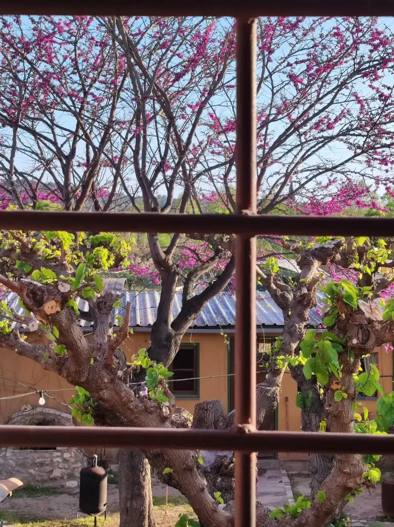 Jardí de Finca rústica en venda en Vallmoll