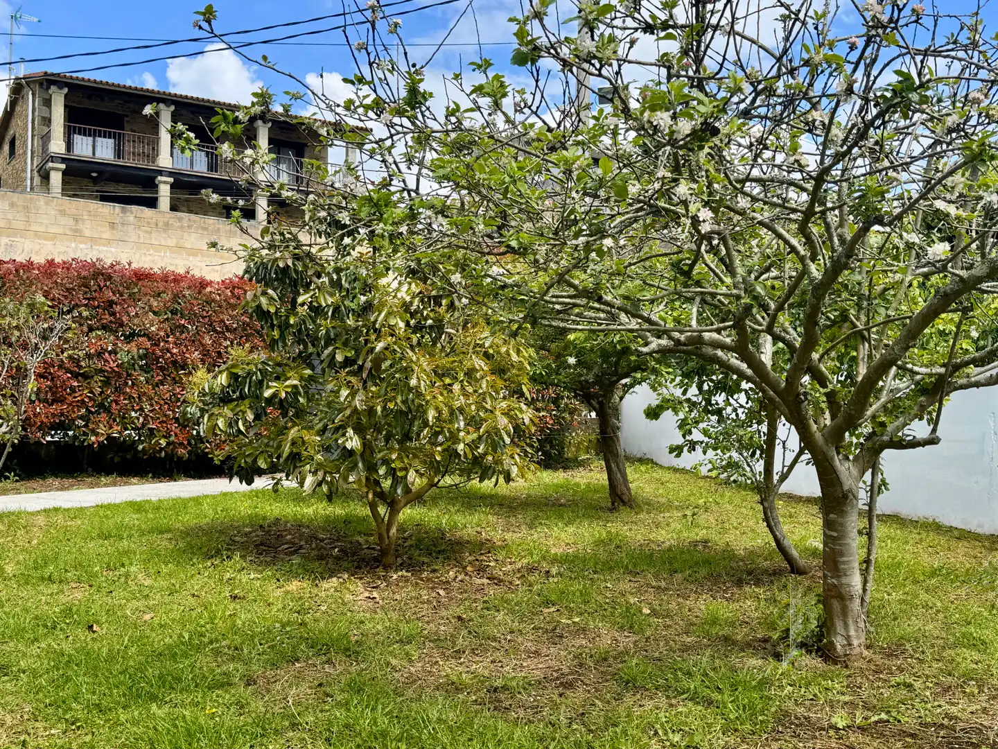 Jardín de Casa o chalet en venta en Sanxenxo con Calefacción, Jardín privado y Terraza