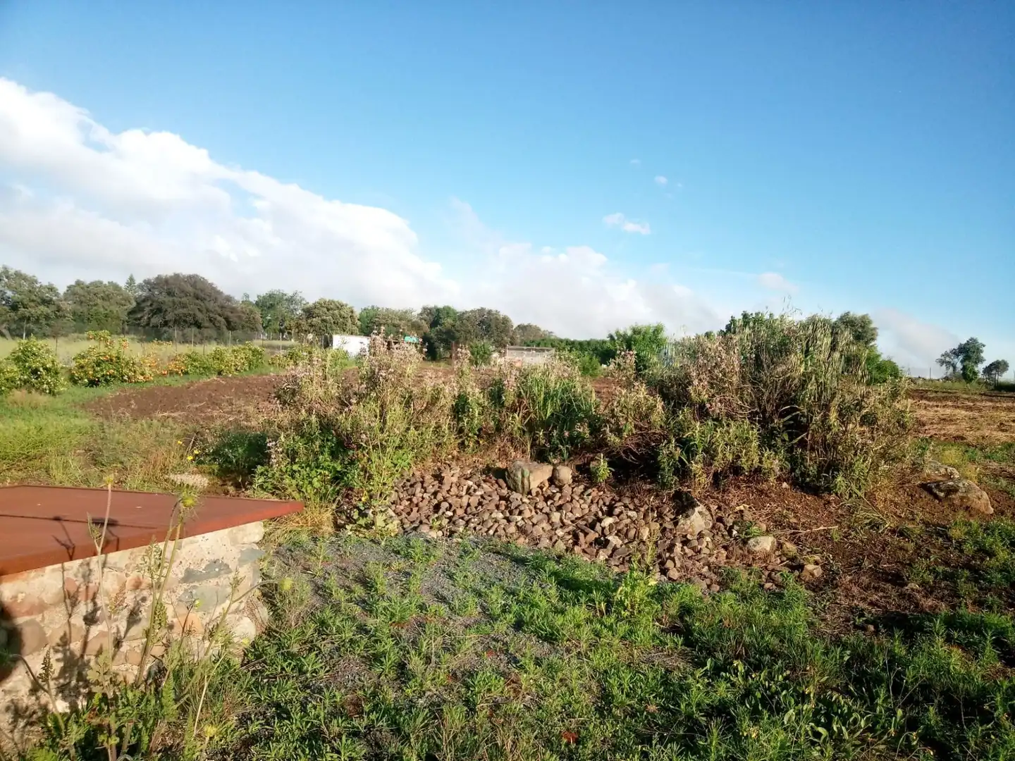 Terreni e lotti in vendita a Castilblanco de los Arroyos, imagen 10