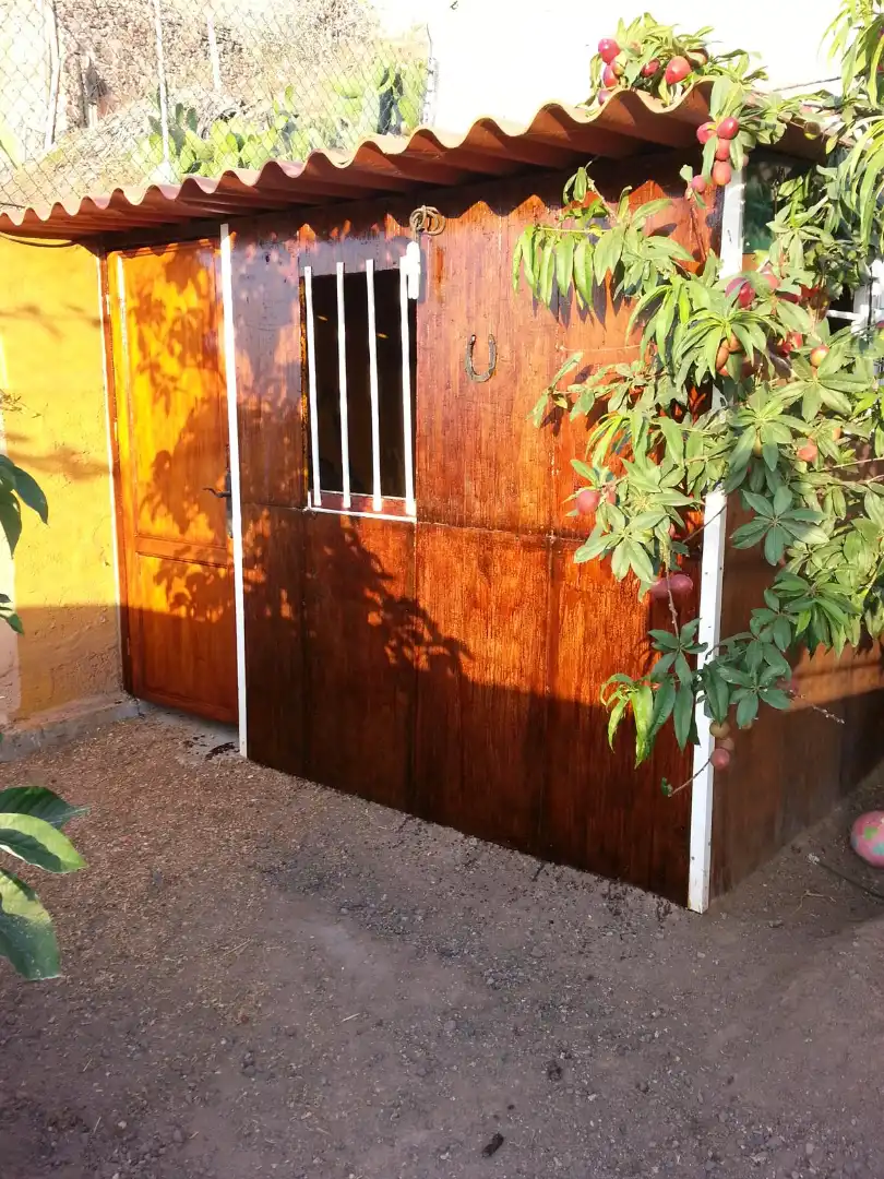 Exterior view of Detached homes for sale in Arucas  with Private garden, Storage room and Furnished