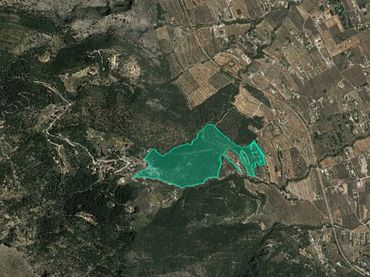 Terreno rustico in vendita a Pr Sant Cristofol