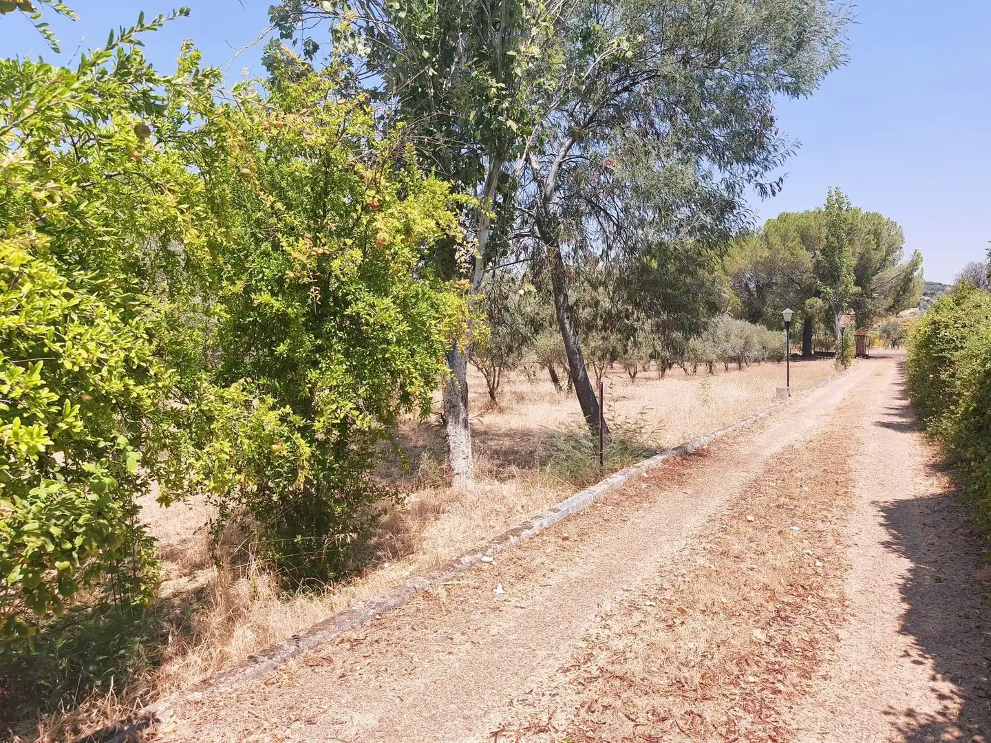 Casa o xalet en venda en Brazatortas amb Aire condicionat, Calefacció i Jardí privat