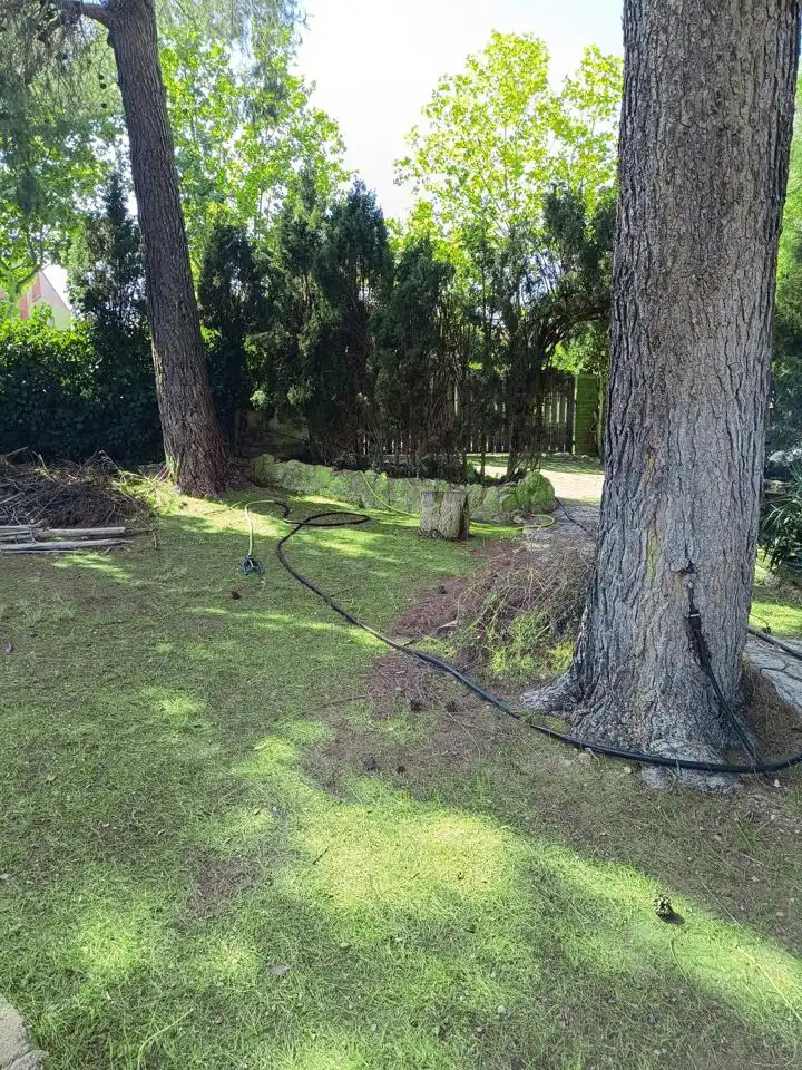 Jardí de Casa o xalet en venda en Zuera amb Jardí privat i Piscina comunitària