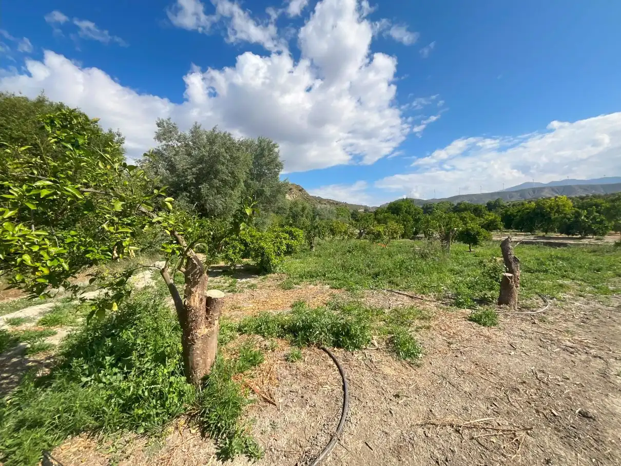 Terreni e lotti in vendita a Andalucia, imagen 3