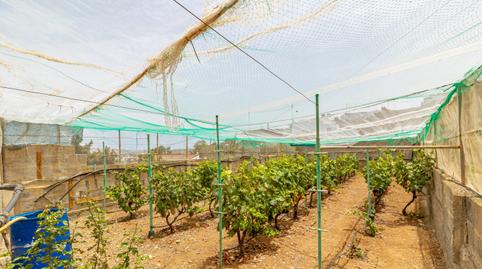 Foto 2 de Casa o xalet en venda a Lugar Castillejos Los, Arucas Casco, Las Palmas
