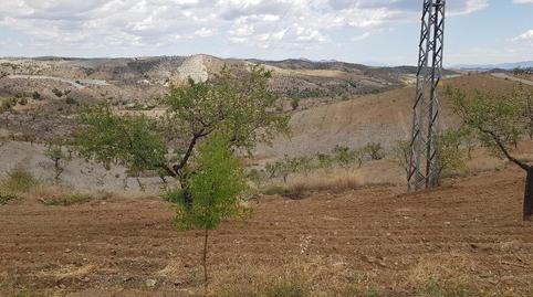 Foto 5 de Casa o chalet en venta en Nogalte, Murcia