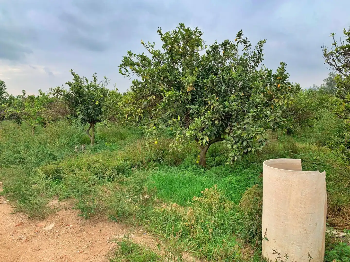 Finca rústica en venda en Tortosa