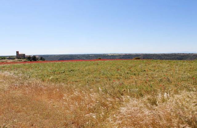Terreno en Venta en Valfermoso de Tajuña