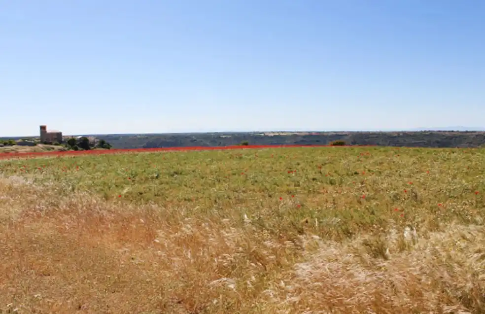 Land for sale in Valfermoso de Tajuña