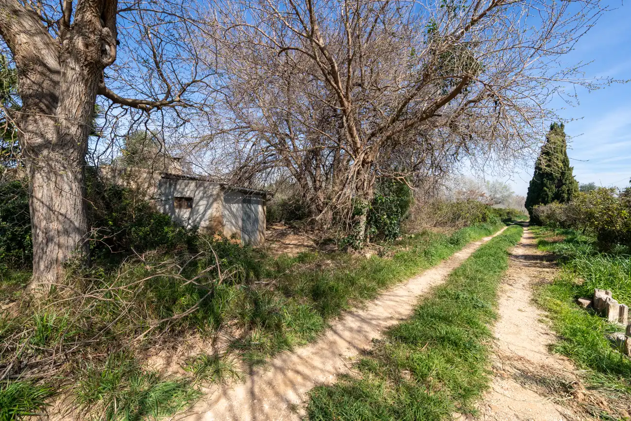Rural land for sale in Vinallop, imagen 7