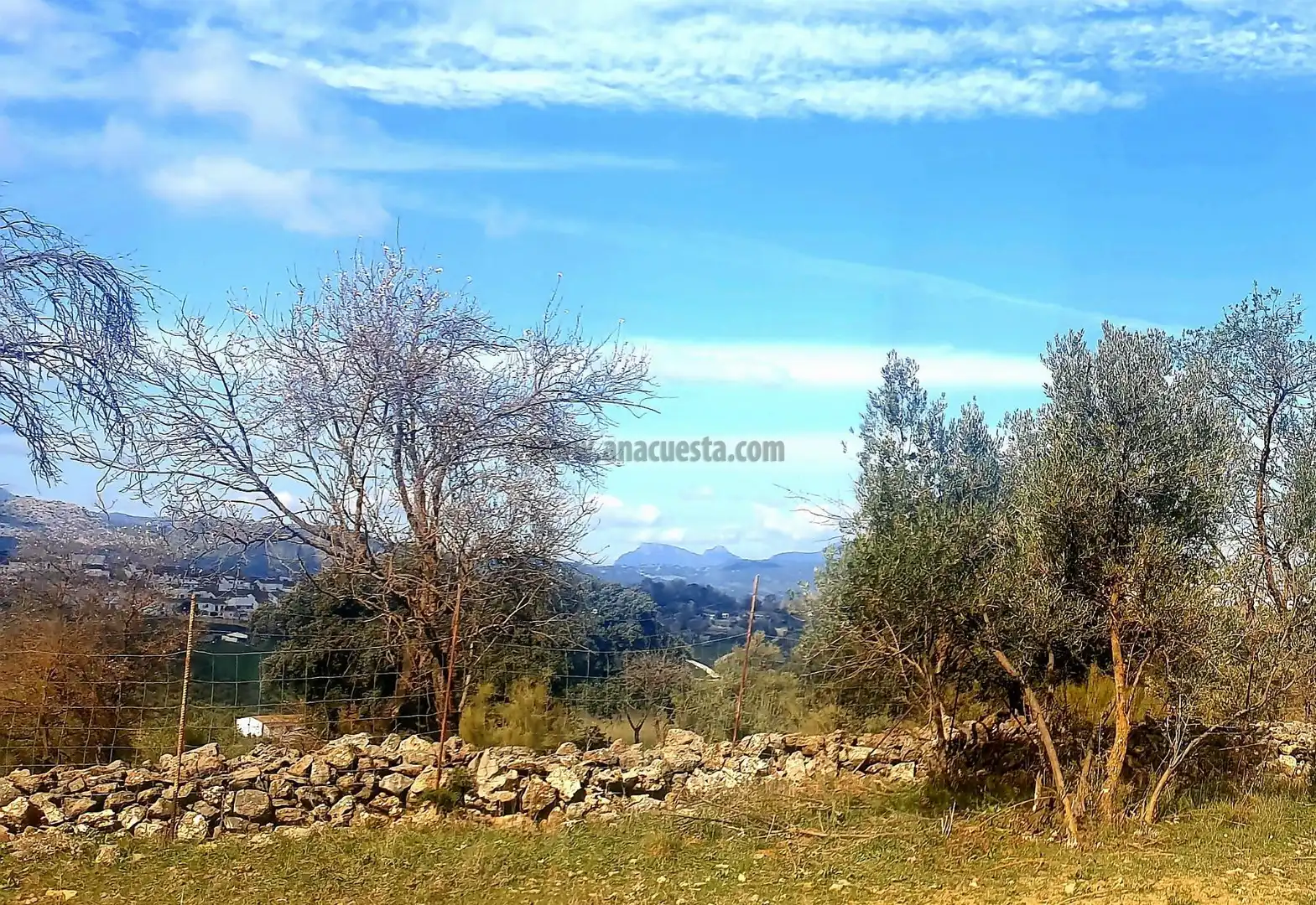 Terrenys i solars en venda a La Planilla, Cra. A-6300, imagen 13