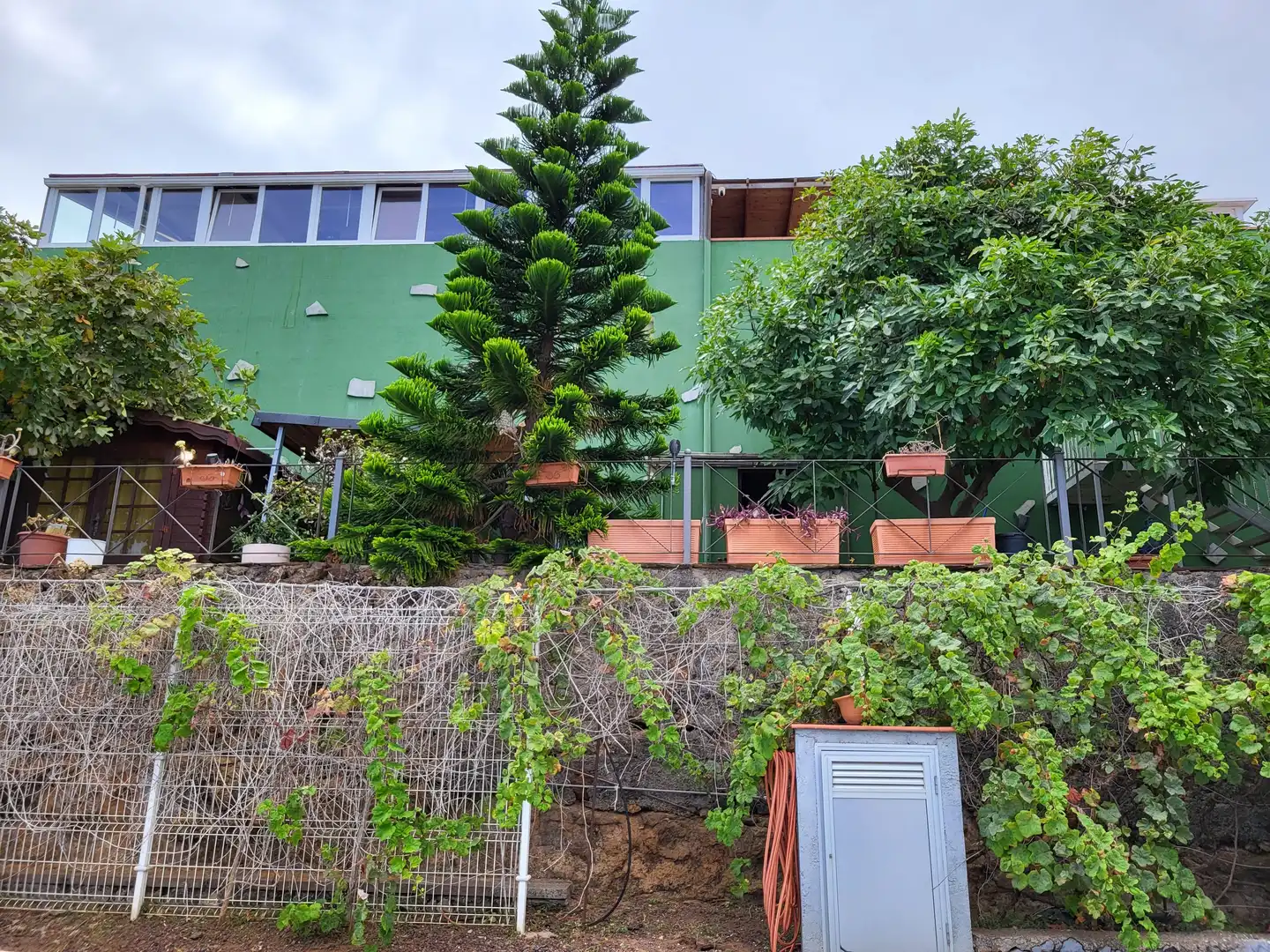 Haus mit Terrasse zum Verkauf in La Victoria de Acentejo, imagen 2