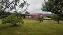 Vista exterior de Casa o xalet en venda en Cambre  amb Jardí privat