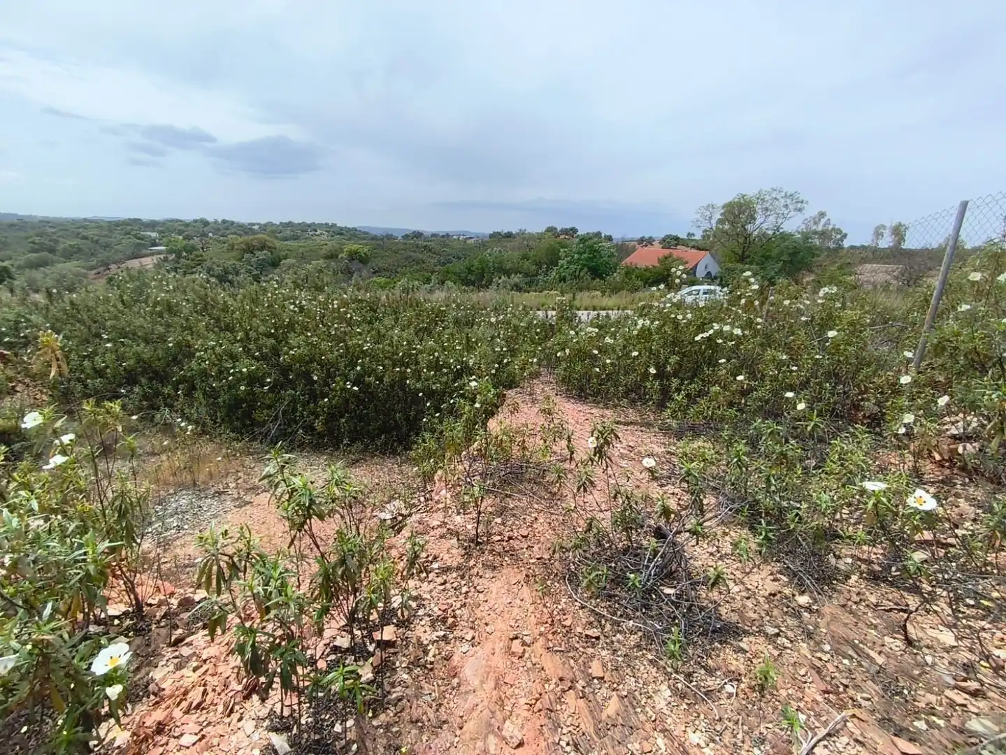 Rural land for sale in Los Lagos, imagen 7