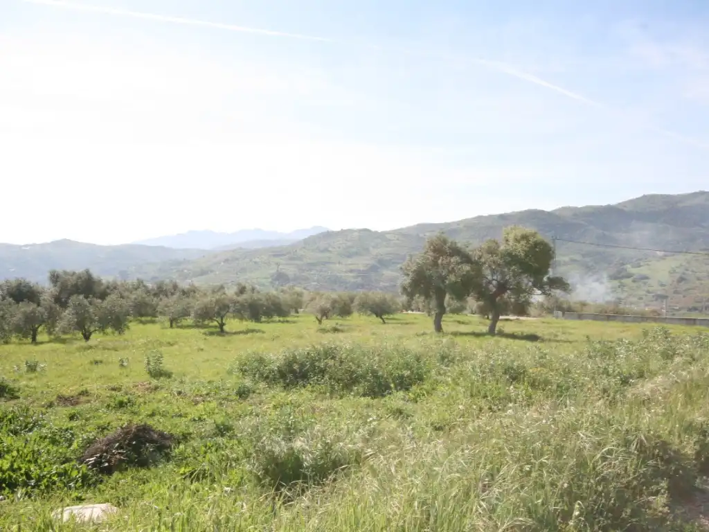 Finca rústica en venda en Tolox