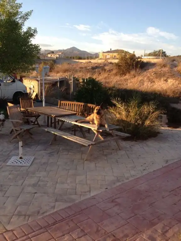 Jardí de Casa o xalet en venda en Partidas de Alicante