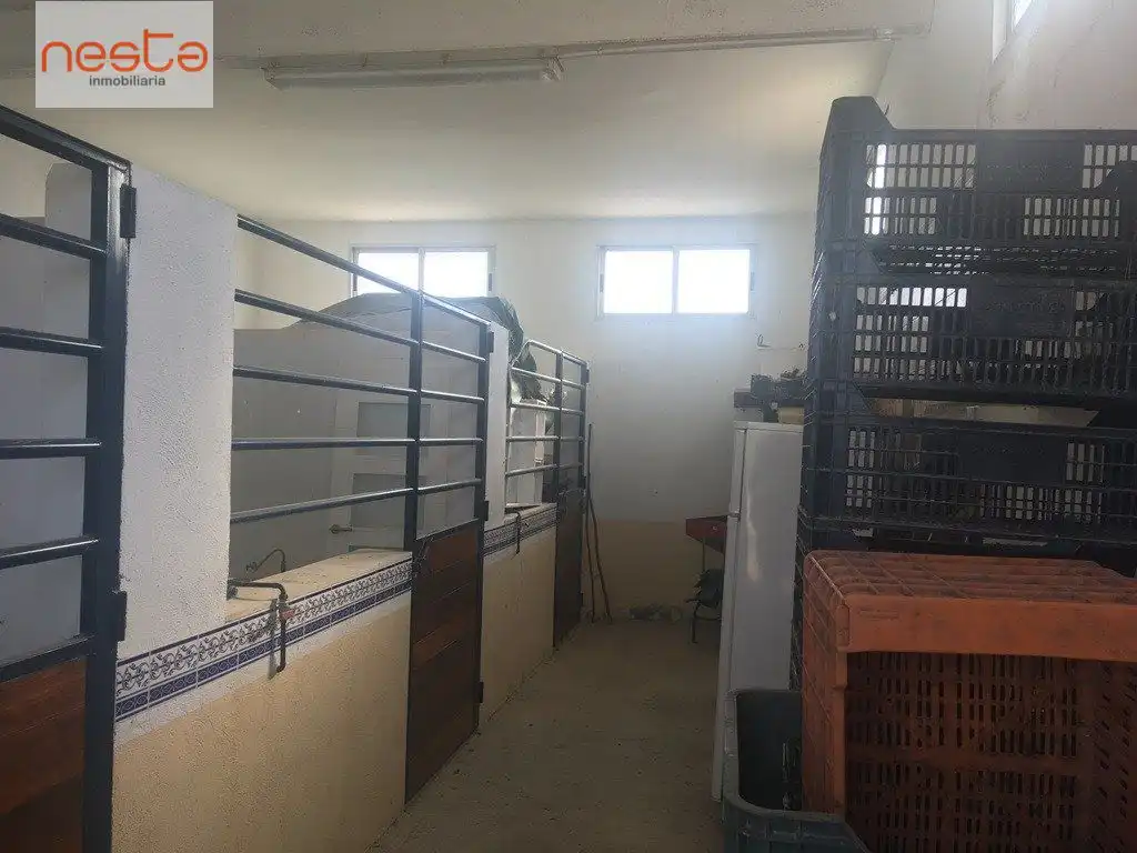 Maison avec piscine à vendre à Pedanías Sur, imagen 26