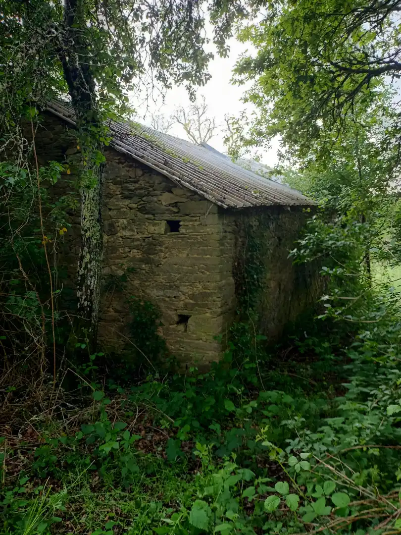 Terreni e lotti in vendita a Vilalba, imagen 3