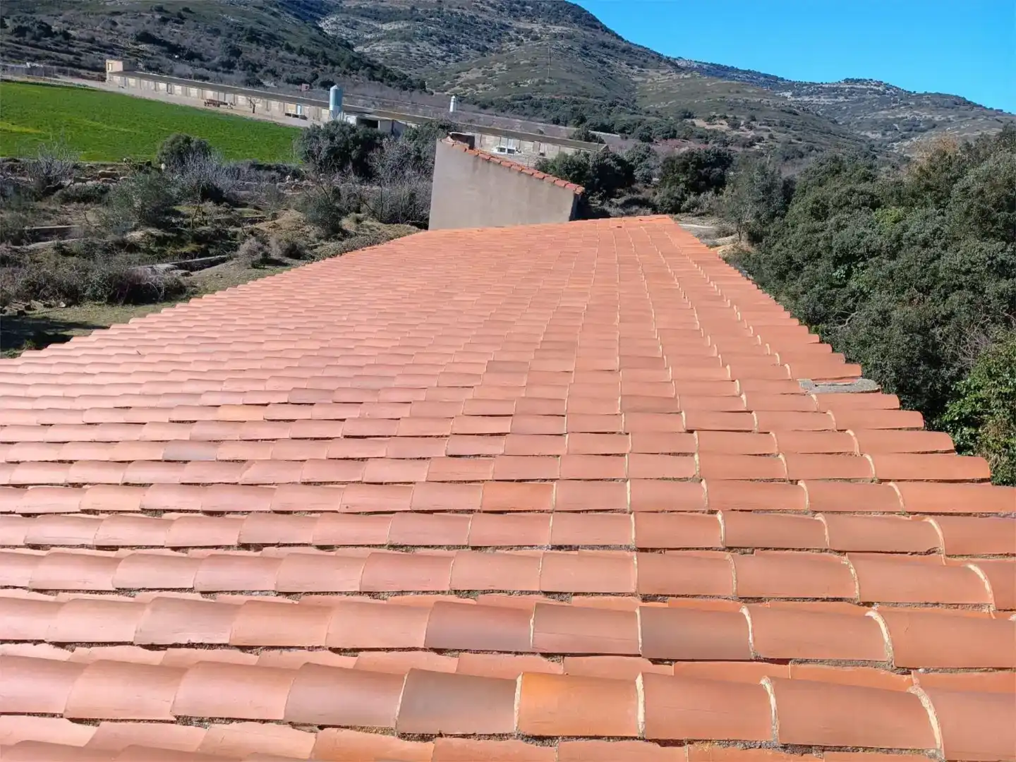Vista exterior de Finca rústica en venta en Catí