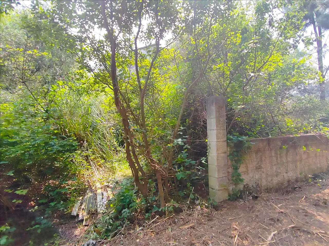 Residencial en venta en Sanxenxo