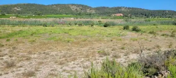 Land for sale in Real