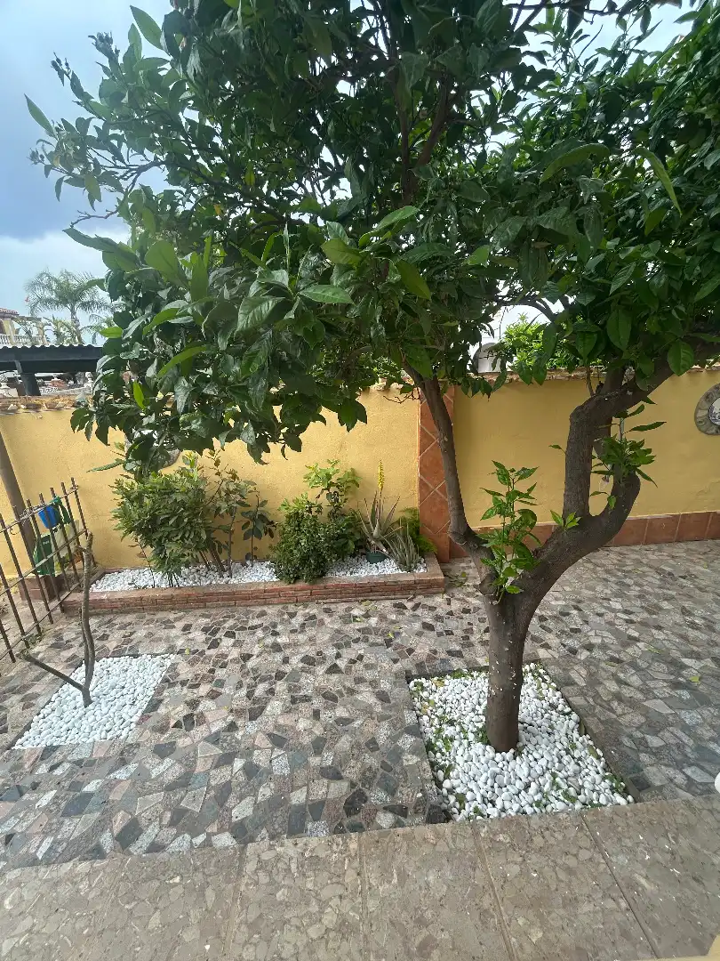 Jardí de Casa o xalet en venda en Alhaurín de la Torre amb Aire condicionat, Jardí privat i Terrassa