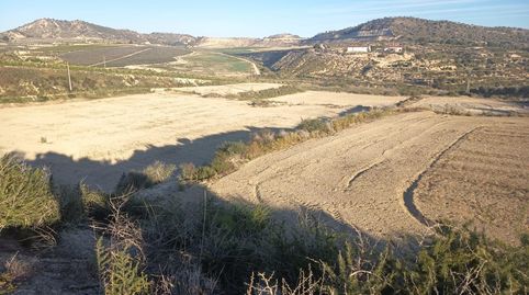 Gran terreno con almacén de 200m2 y vistas al embalse La Pedrera, imatge 4