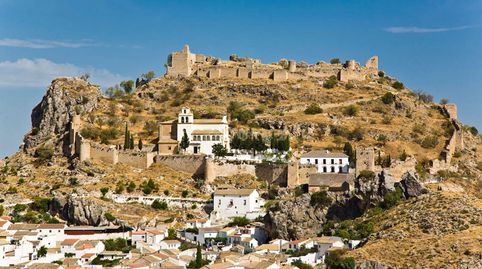 Conjunto de cinco parcelas en el pueblo de Olivares, Granada., immagine 4