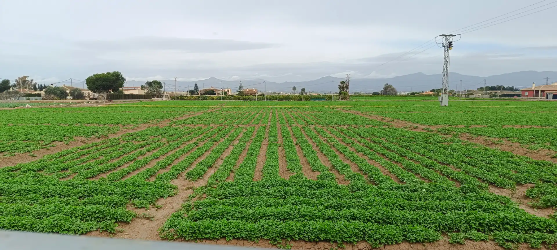 Vista exterior de Piso en venta en Callosa de Segura con Aire acondicionado, Jardín privado y Trastero