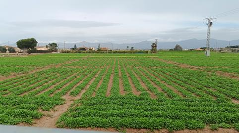 Photo 3 of Flat for sale in Camino del Almajal, Callosa de Segura, Alicante