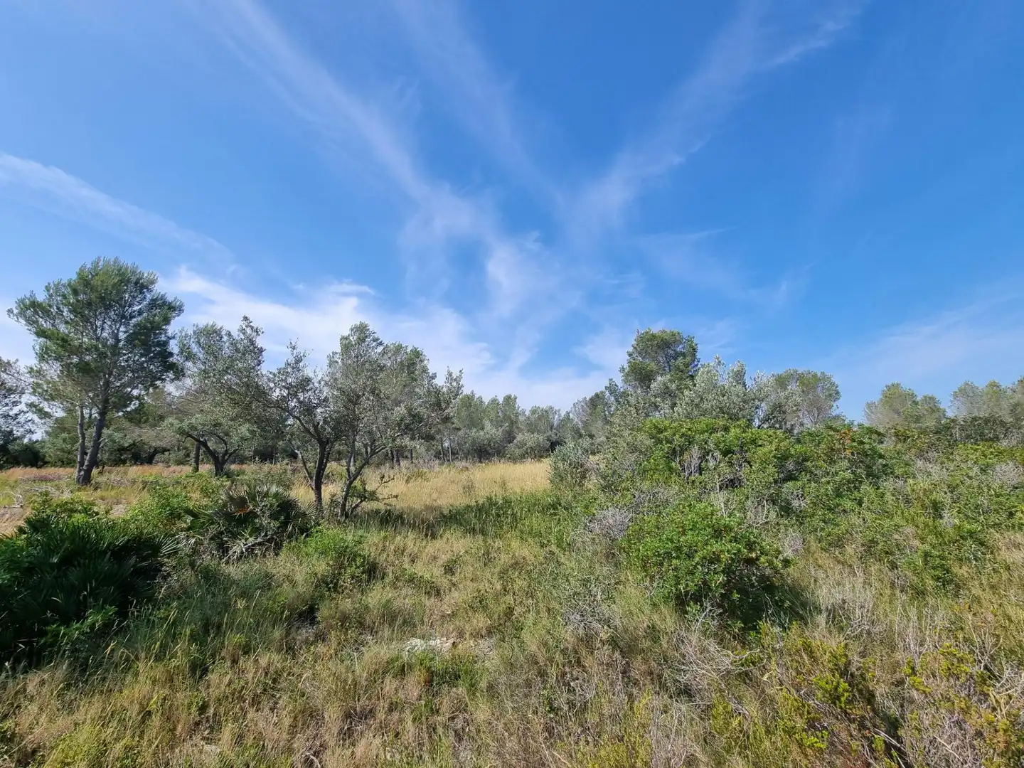 Maison rustique à vendre à L'Ametlla de Mar pueblo, imagen 13