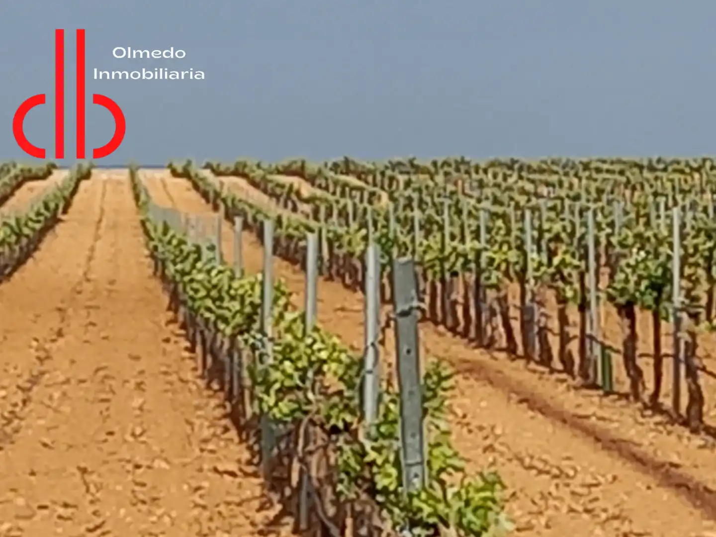 Rustikales Grundstück zum Verkauf in Pedro Muñoz, imagen 2