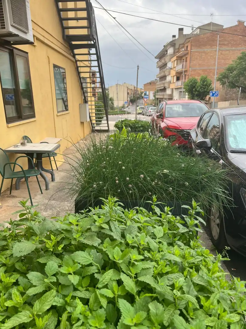 Casa con terraza en venta en Avenida PIRINEUS, imagen 15