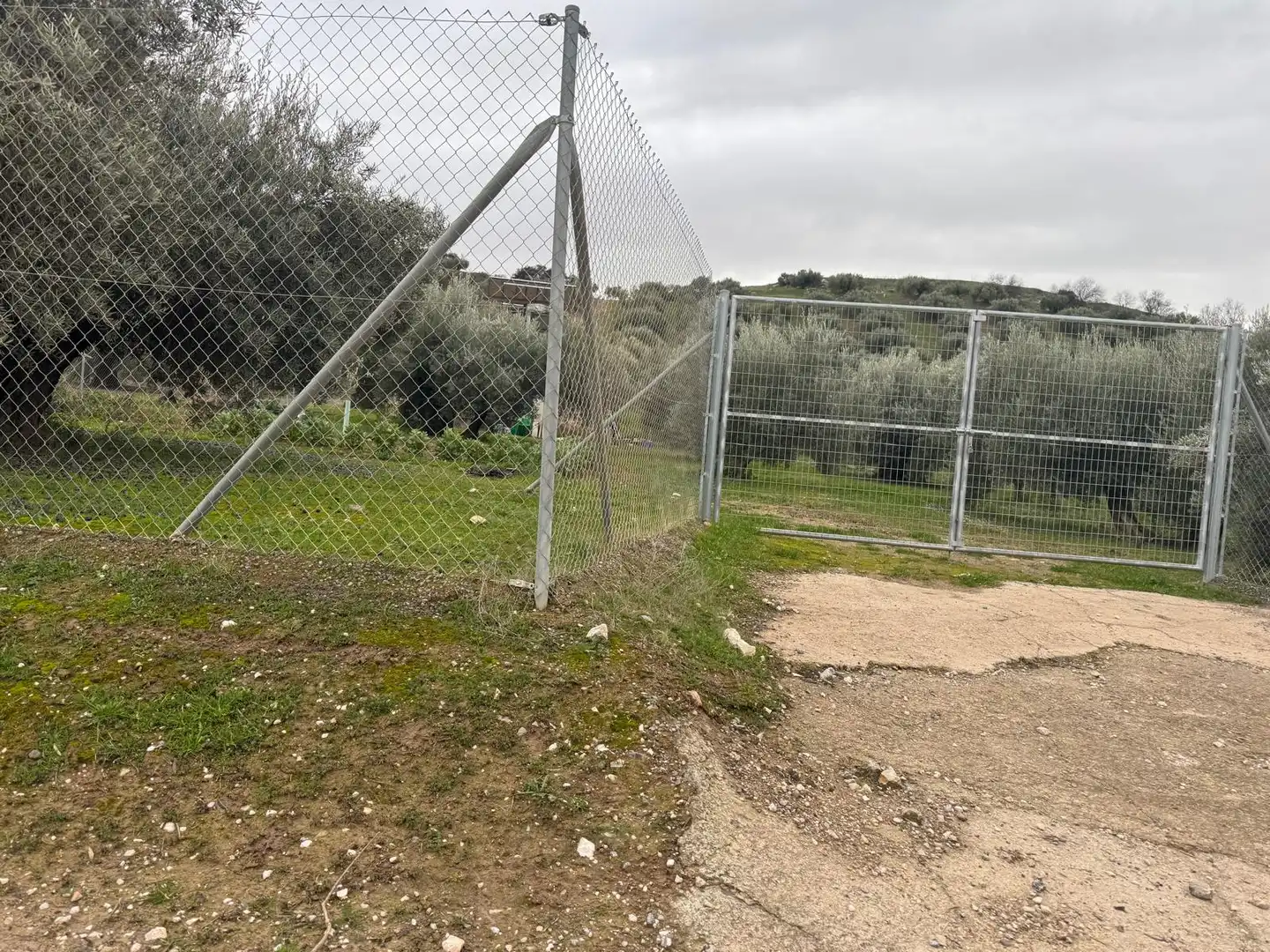 Terreni e lotti in vendita a Carretera de la Fuensanta 126C