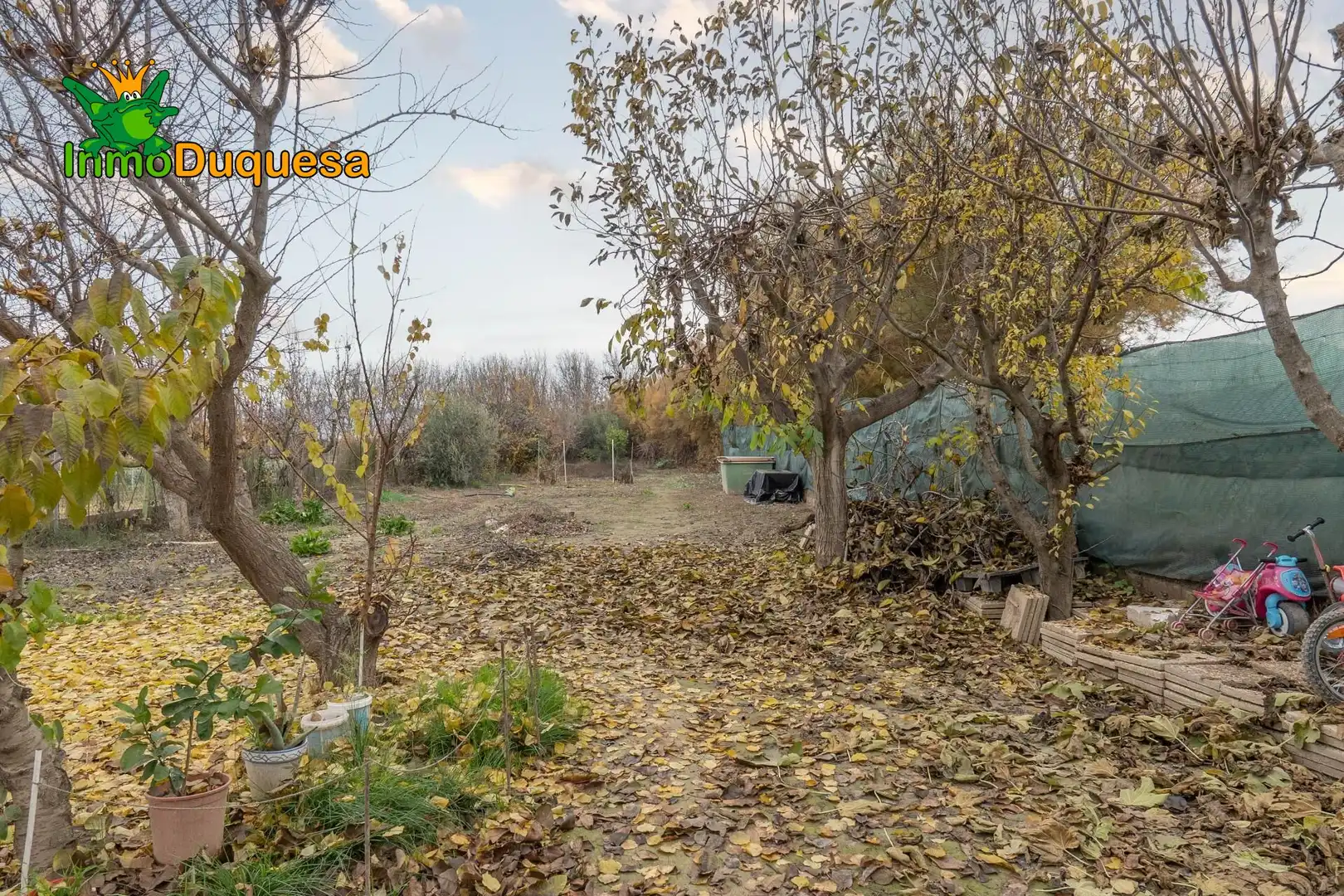 Country homes for sale in Chauchina